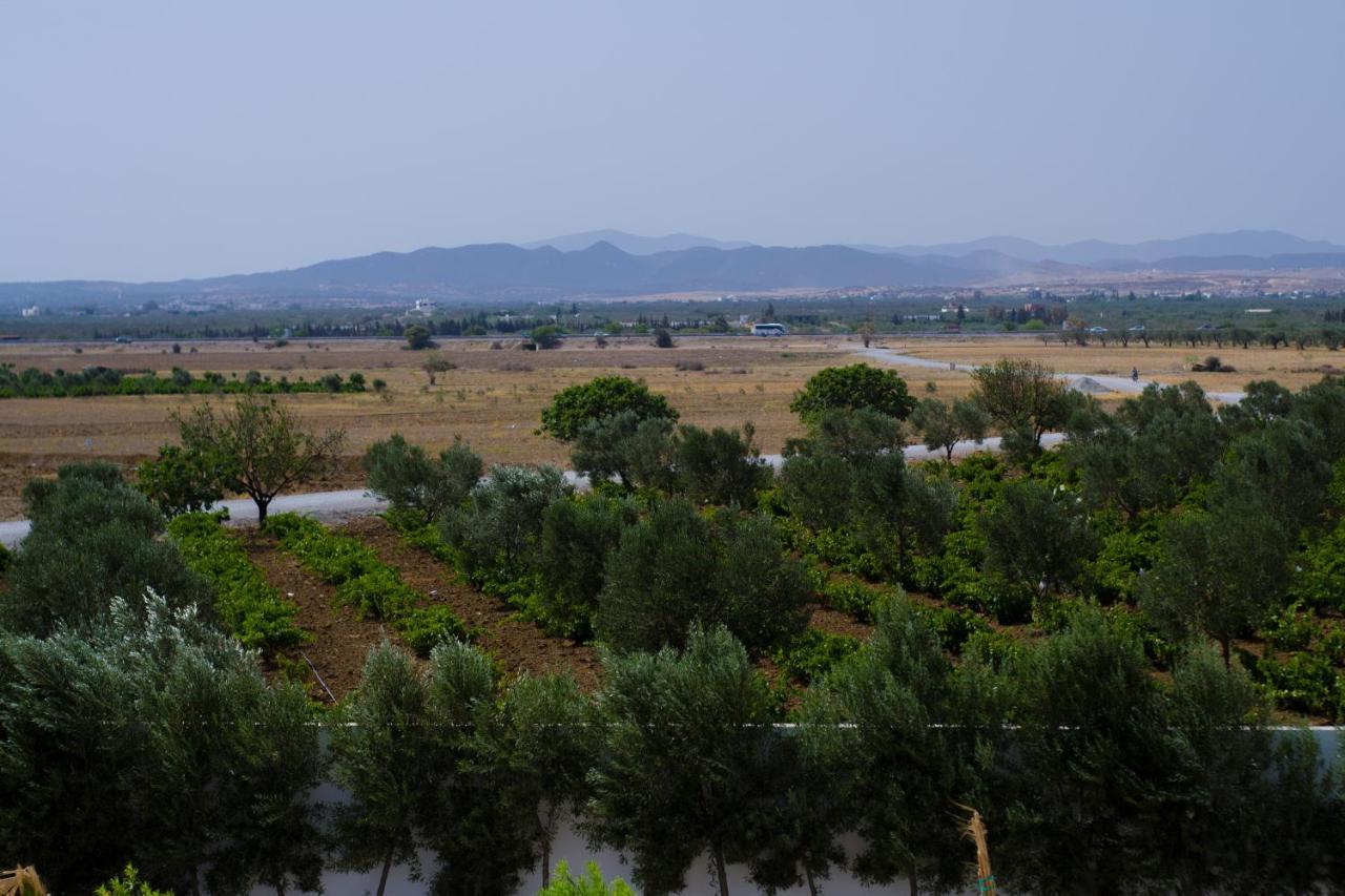 Villa Olivia, Yasmine Hammamet, Bouficha Dış mekan fotoğraf