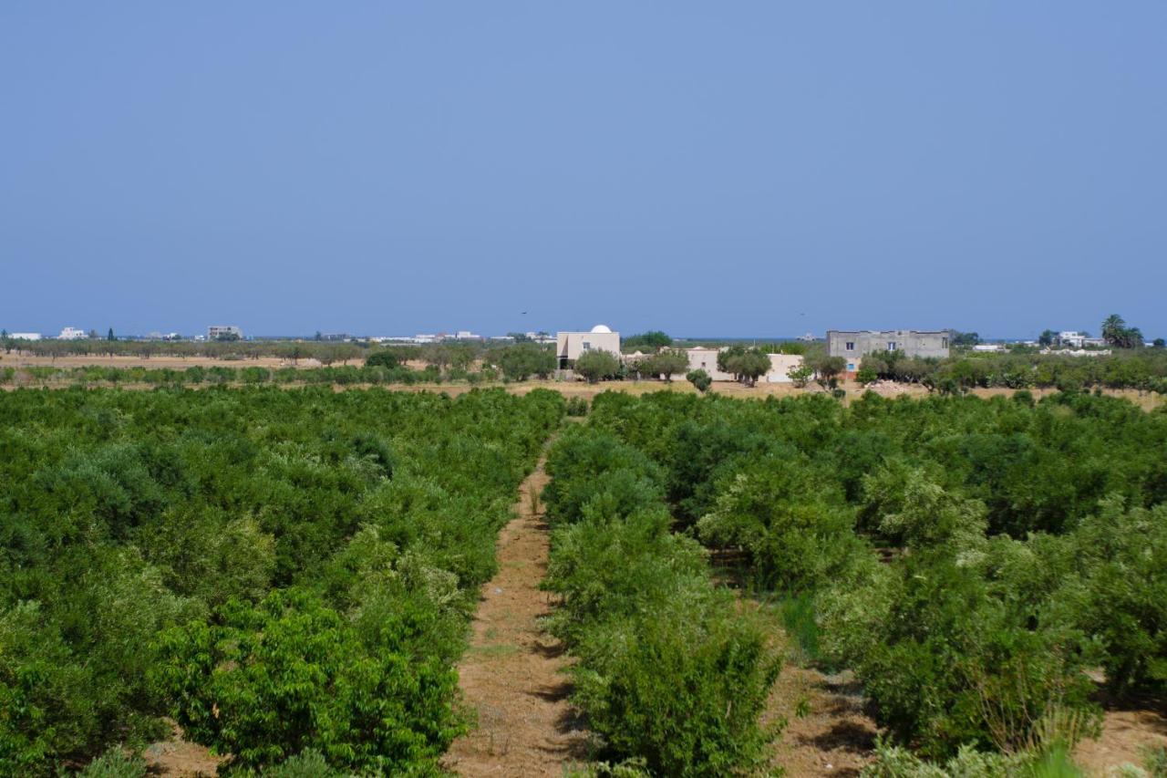 Villa Olivia, Yasmine Hammamet, Bouficha Dış mekan fotoğraf