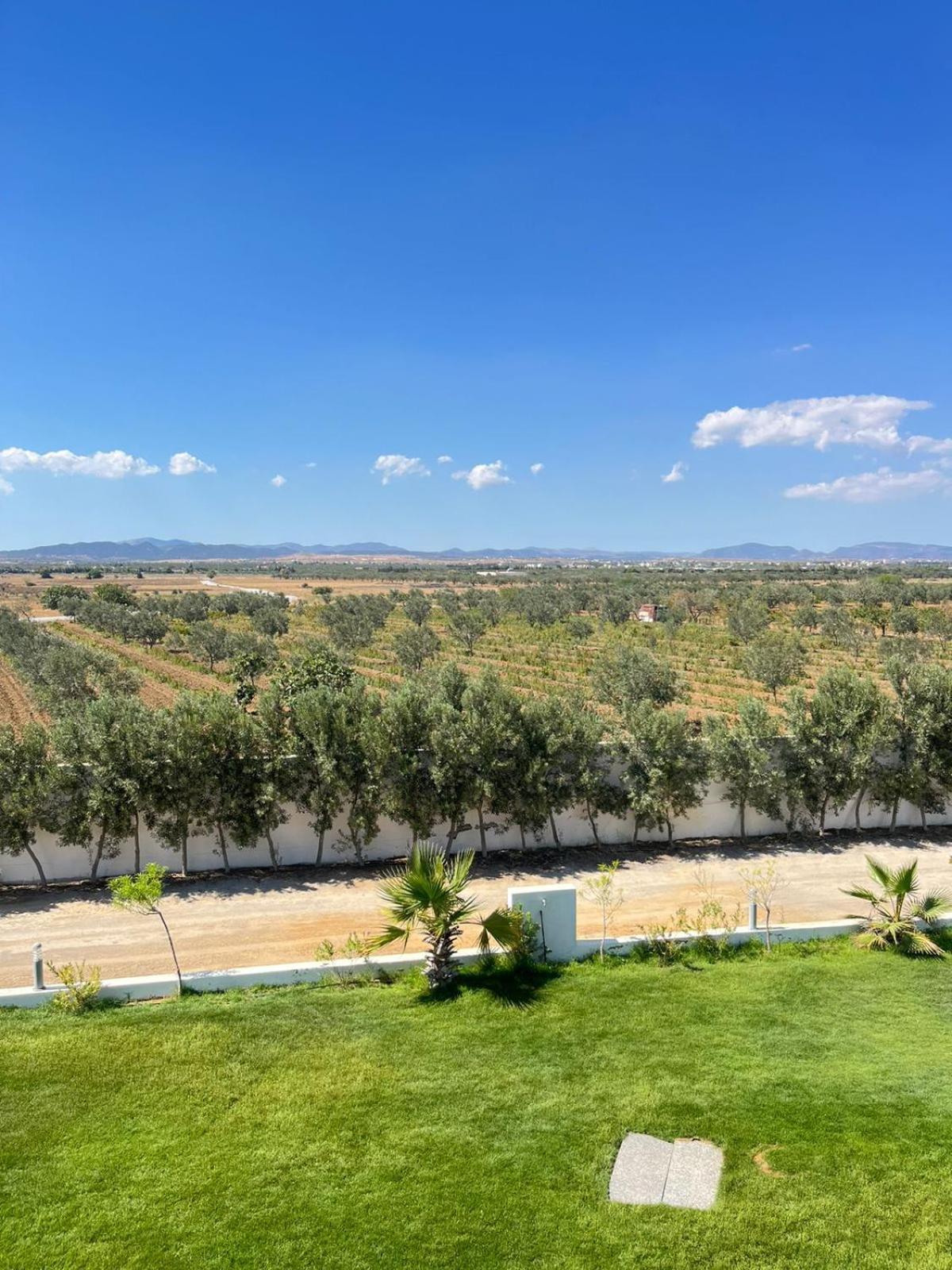 Villa Olivia, Yasmine Hammamet, Bouficha Dış mekan fotoğraf
